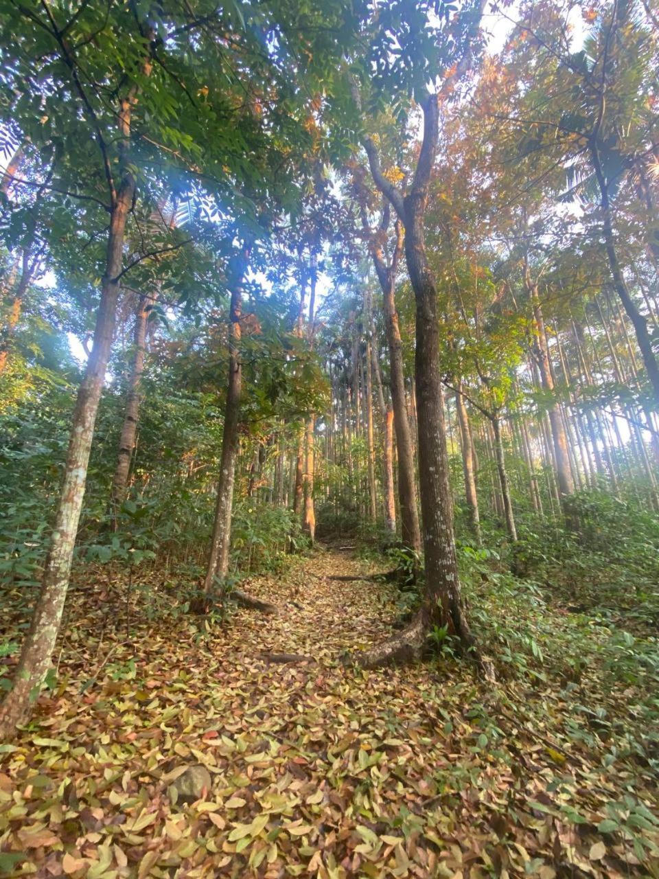 Momarco Forest Cove Tanay Exterior foto